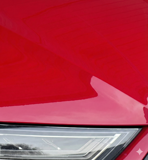 Insektenentferner nachher