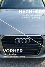 Insektenentferner vorher nachher