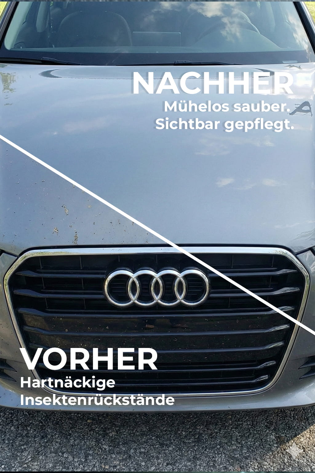 Insektenentferner vorher nachher