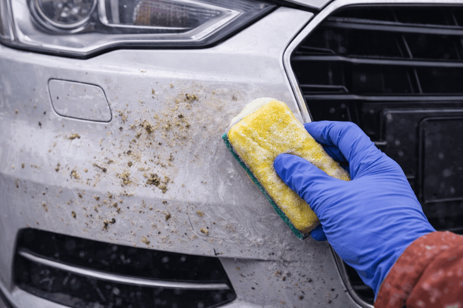 Insektenreste am Auto entfernen