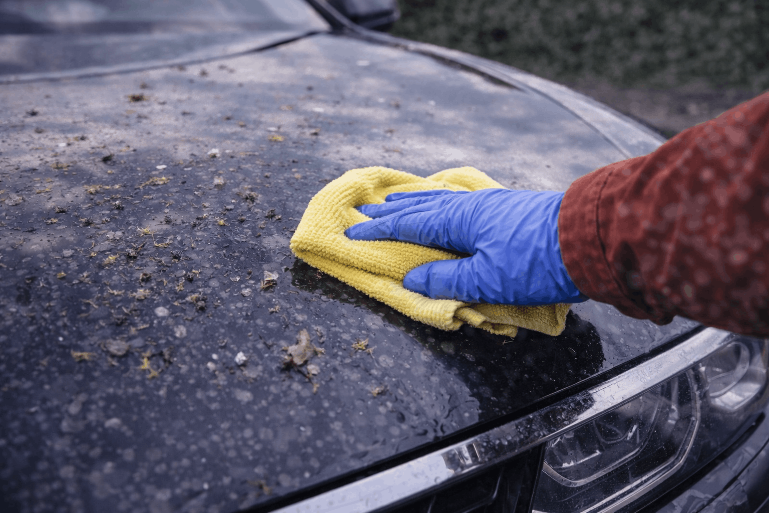 Insekten auf Autolack entfernen